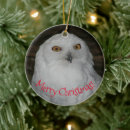 Search for snowy white owl christmas tree decorations Bird