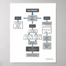 Search for chart office supplies Mathematics