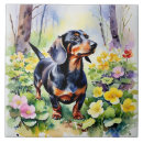 Search for dog tiles Doxie