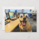 Search for funny note cards Colourful