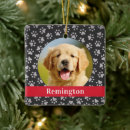 Search for golden retrievers christmas decor For pets