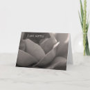 Search for i am sorry cards Rose