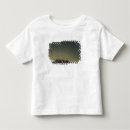 Search for mount rainier tshirts Nobody