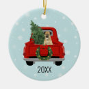 Search for border terrier christmas tree decorations Dog