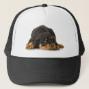 Search for rottweiler hats Animal