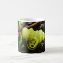 Search for green snake mugs Reptile