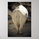Search for rhinoceroses art Wildlife