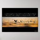 Search for swan image posters Wings