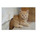 Search for sweetheart baby kids Cute