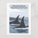 Search for bellingham postcards Lantern