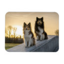 Search for working dogs magnets Sheepdog
