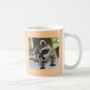 Search for racoon mugs Silly