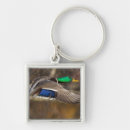 Search for flying mallard key rings Animal