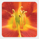Search for red flame stickers Flower