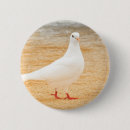 Search for pigeon badges Dove