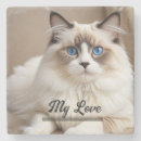Search for owner coasters Pets