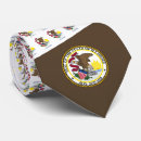 Search for springfield flag Illinoisan