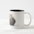 Search for cuddle mugs Feline