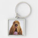Search for eyes closed key rings Domestic animals