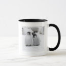 Search for baby chicks mugs Emperor penguin