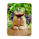 Search for wine magnets Avanti press
