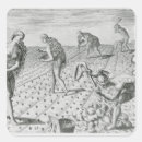 Search for florida native stickers Jacques