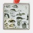 Search for animal skull christmas tree decorations English