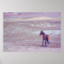 Search for mustang horses posters Nature