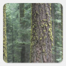 Search for raymond stickers National land
