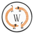 Search for hockey pucks Dog