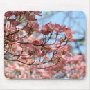 Search for flowering spring tree mousepads Dogwood
