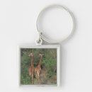 Search for torso key rings Low section
