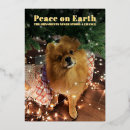 Search for funny sayings christmas cards Dog