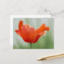 Search for artistic flower postcards Summer