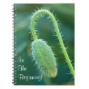 Search for pod notebooks For her