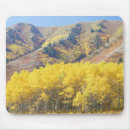 Search for clear mousepads Travel destination