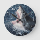 Search for danita delimont clocks Colour image