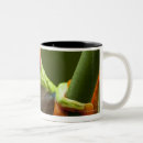 Search for rica mugs Nature