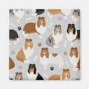 Search for rough collie magnets Pet