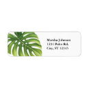 Search for palm fronds return address labels Summer