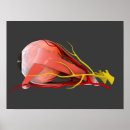 Search for conceptuality posters Retinal artery