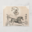 Search for circus performer Fun