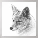 Search for wolf drawing art Black