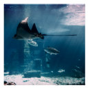 Search for fish tank posters Travel