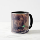 Search for chocolate labrador mugs Animal