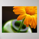 Search for arrangements posters Vase