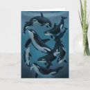 Search for orcas cards Killer whales