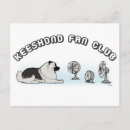 Search for funny animal postcards Dogs