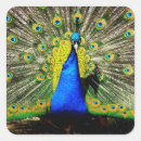 Search for stunning stickers Green