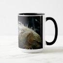 Search for iguana mugs Wildlife